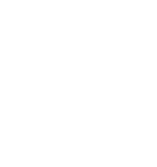MedAxis